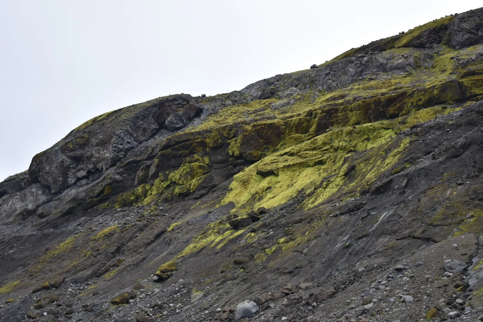 DSC_1055.JPG