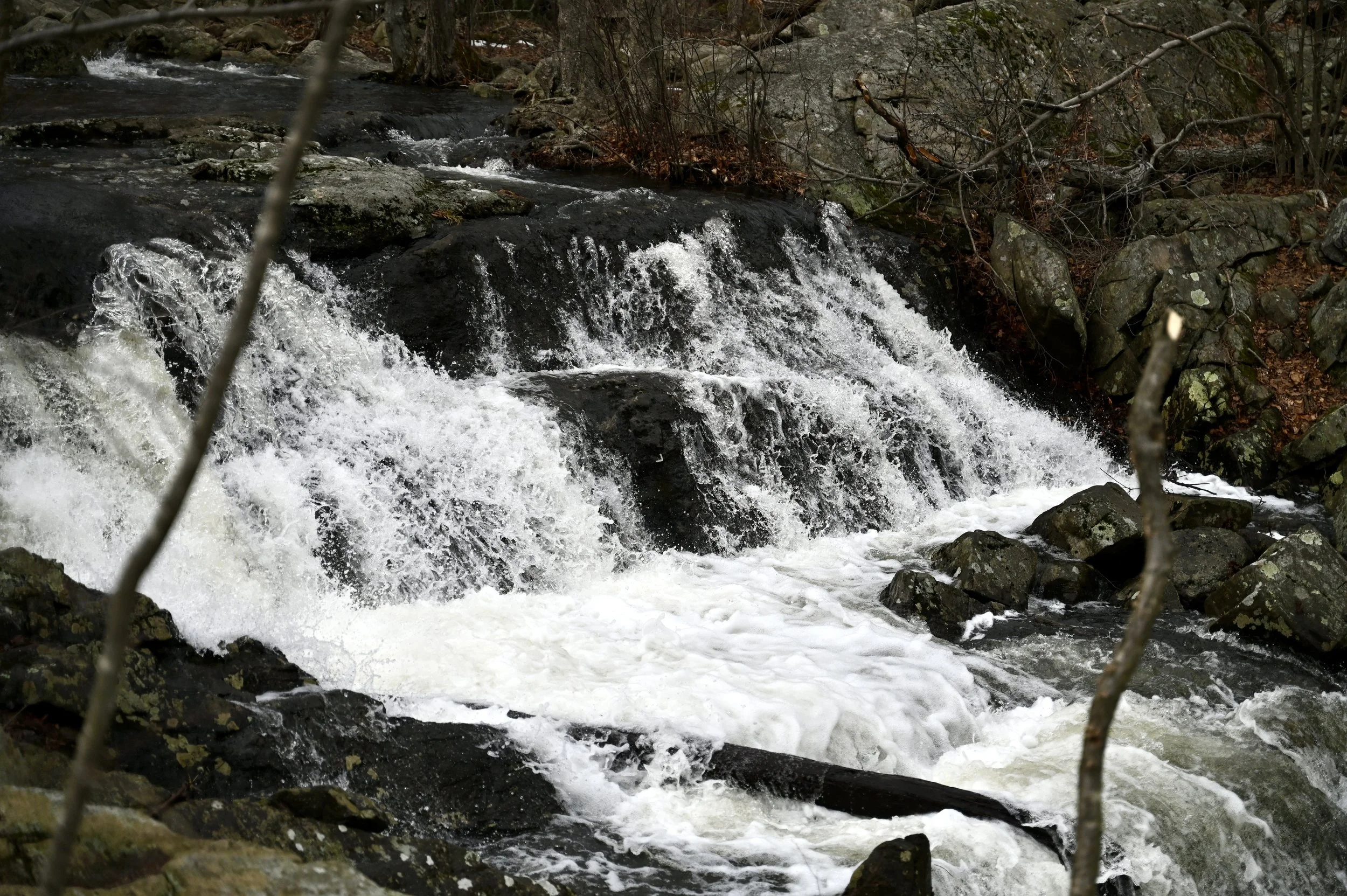 DSC_6424 2.jpg