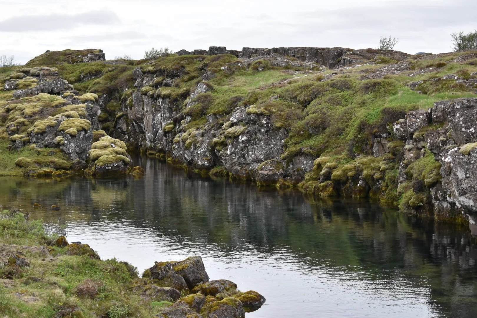 DSC_0226.JPG