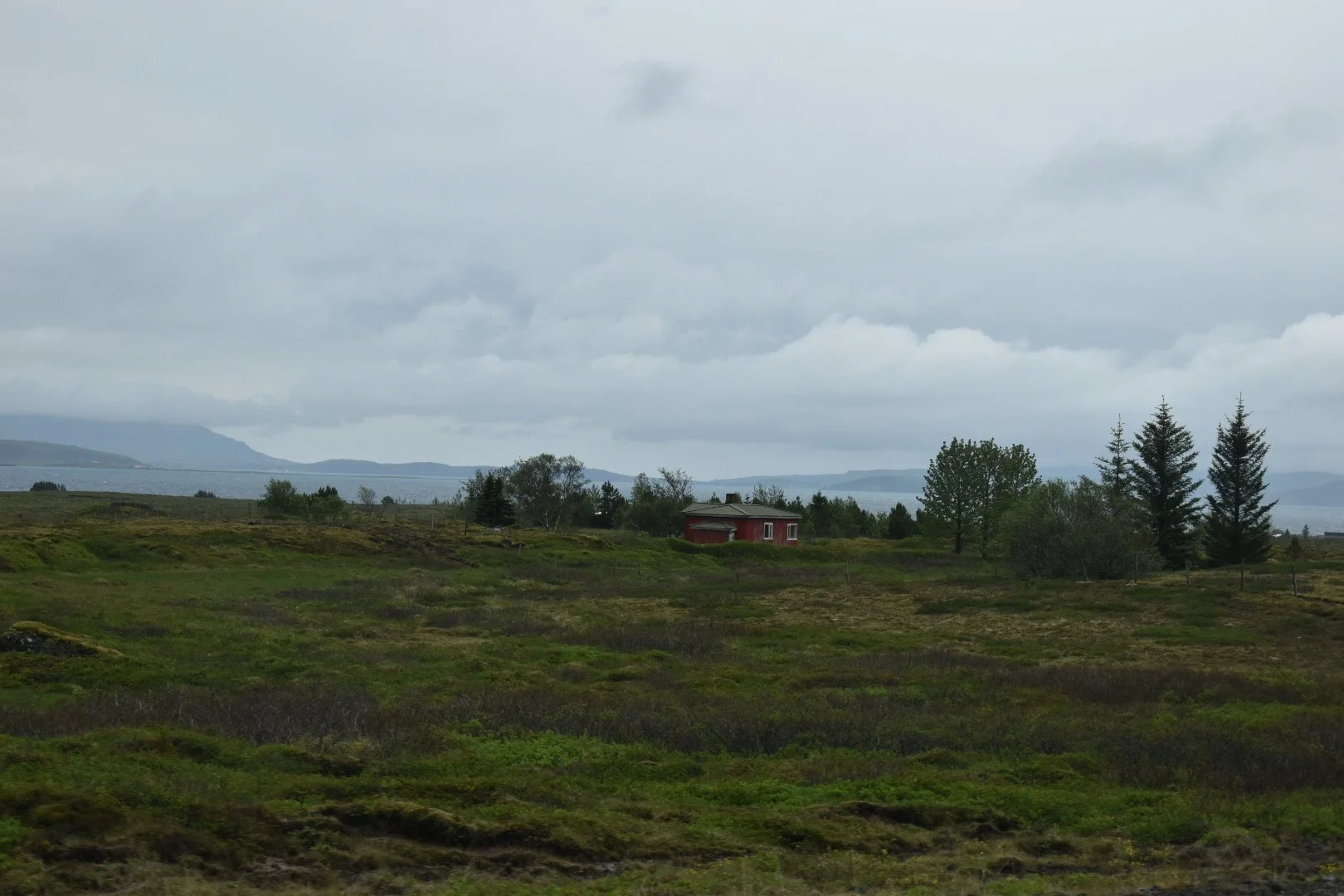 DSC_0074 2.JPG