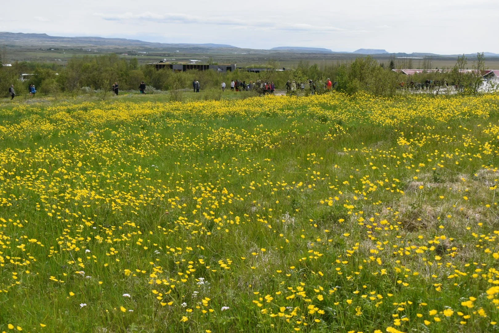 DSC_0351.JPG