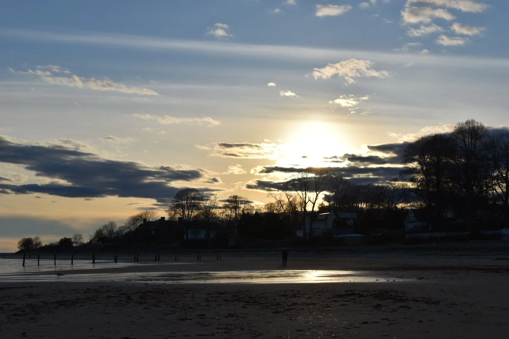 DSC_1002.JPG