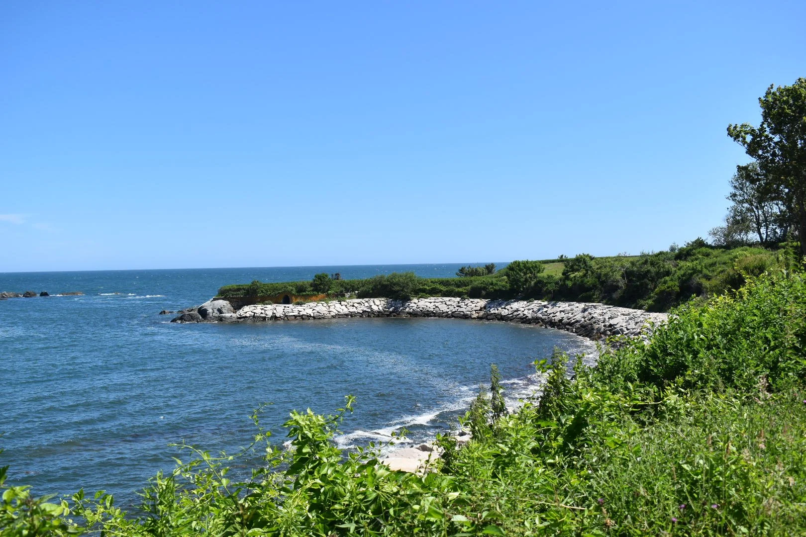 DSC_1013.JPG