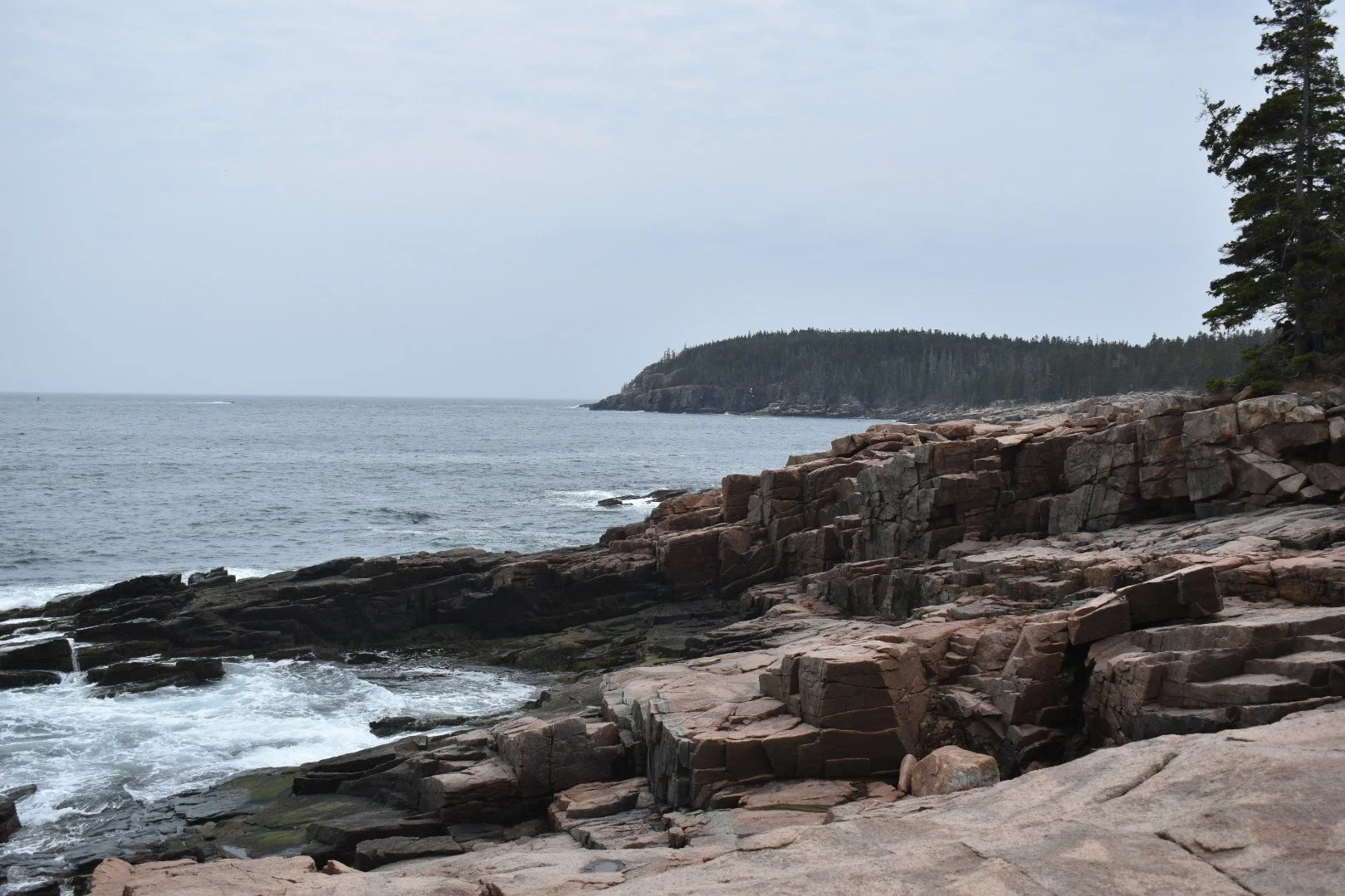 DSC_0189.JPG
