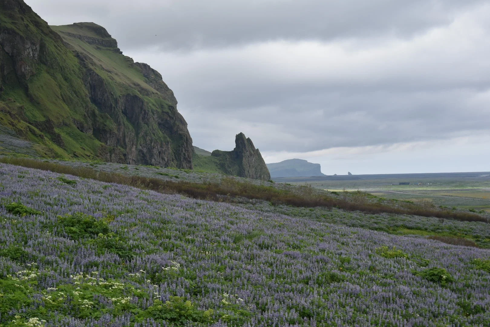 DSC_0818.JPG