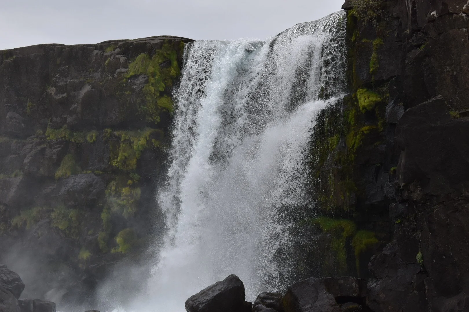 DSC_0193 2.JPG