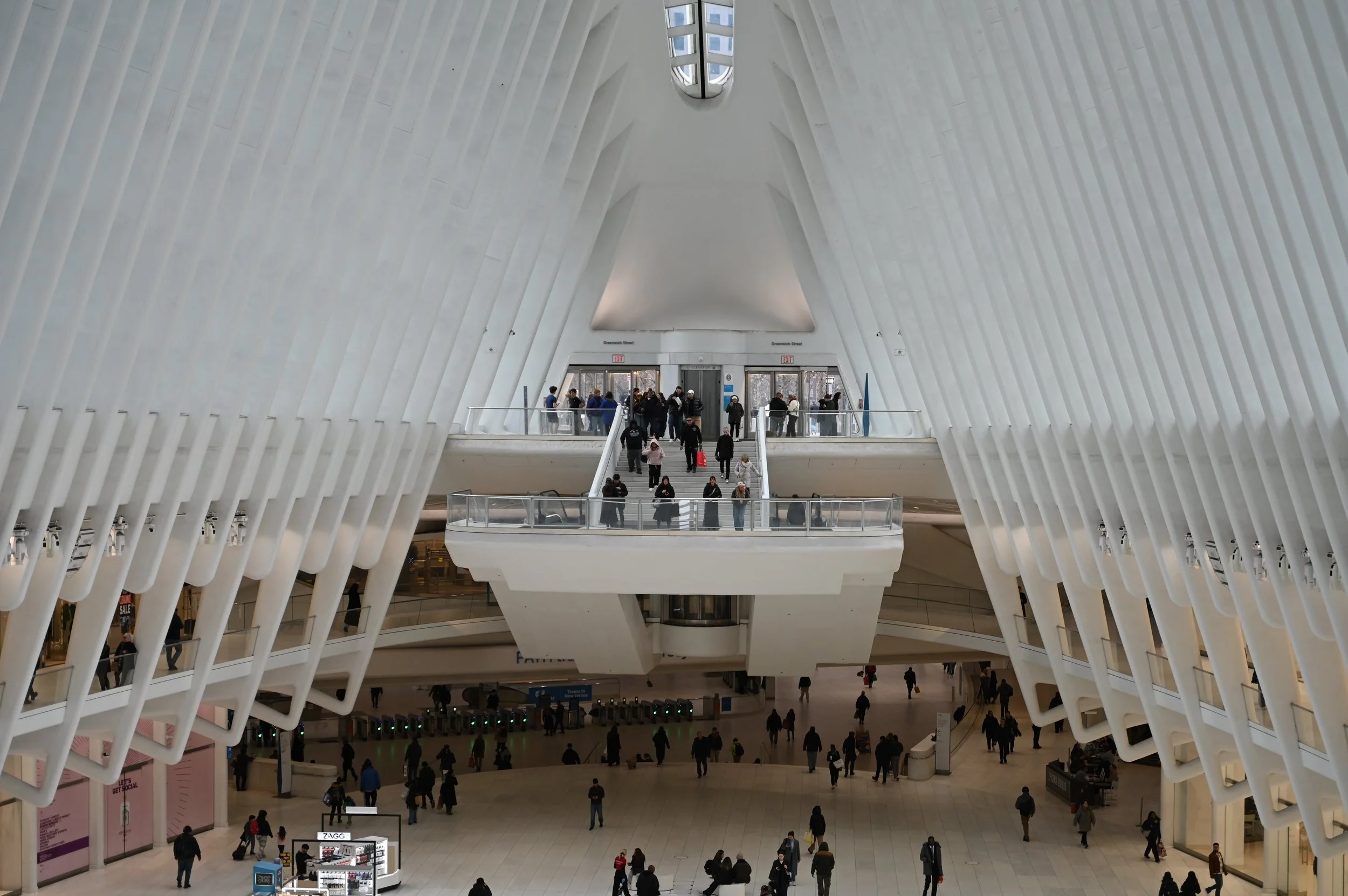 DSC_6390.JPG