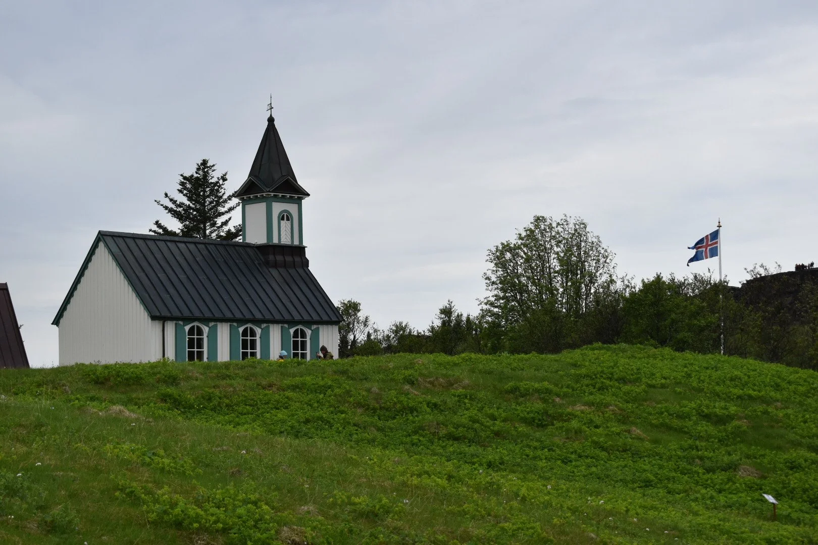 DSC_0232.JPG