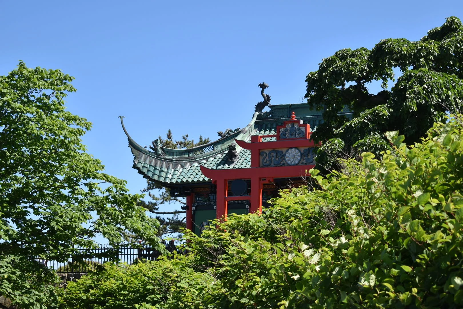 DSC_1006.JPG
