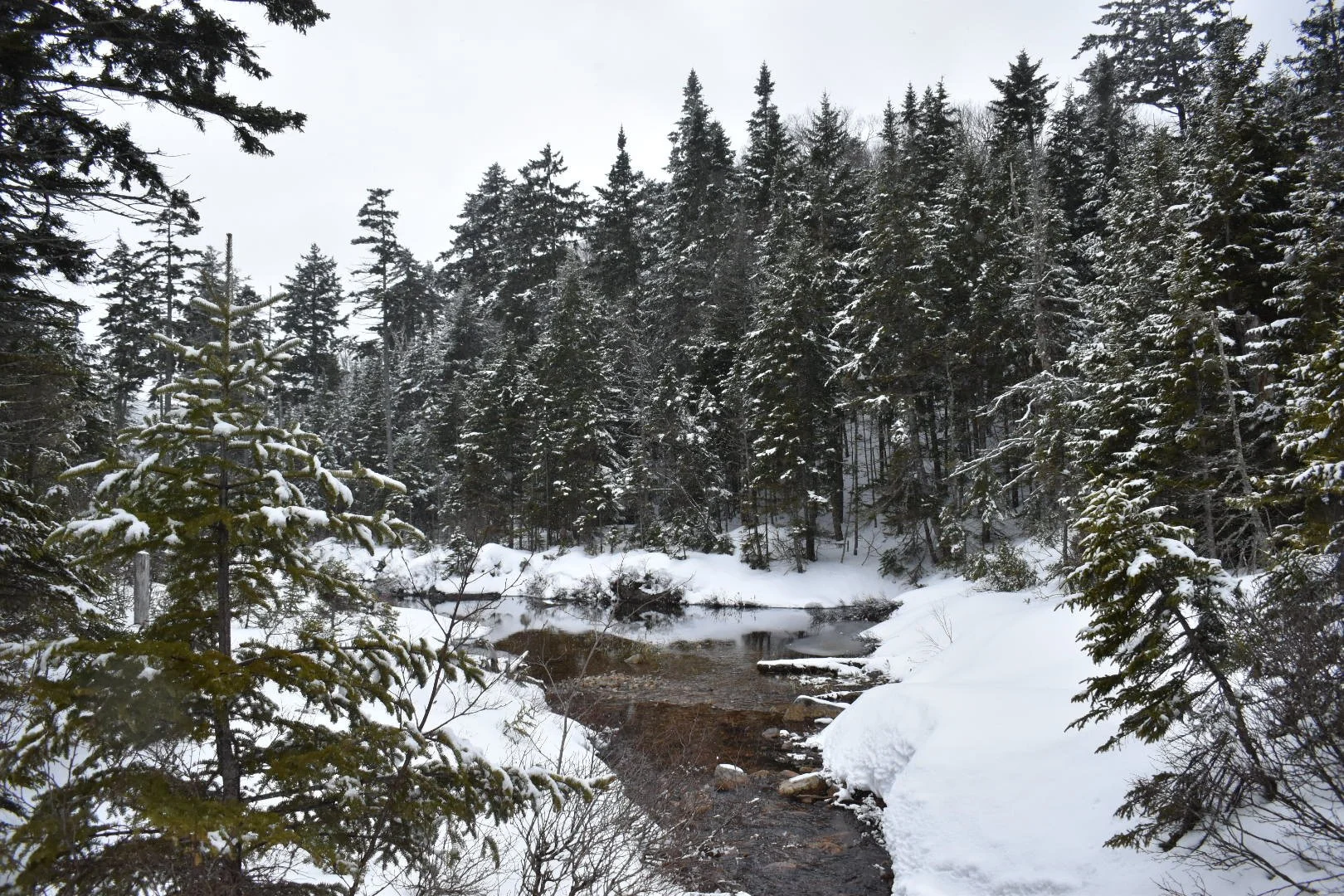 DSC_0087.JPG