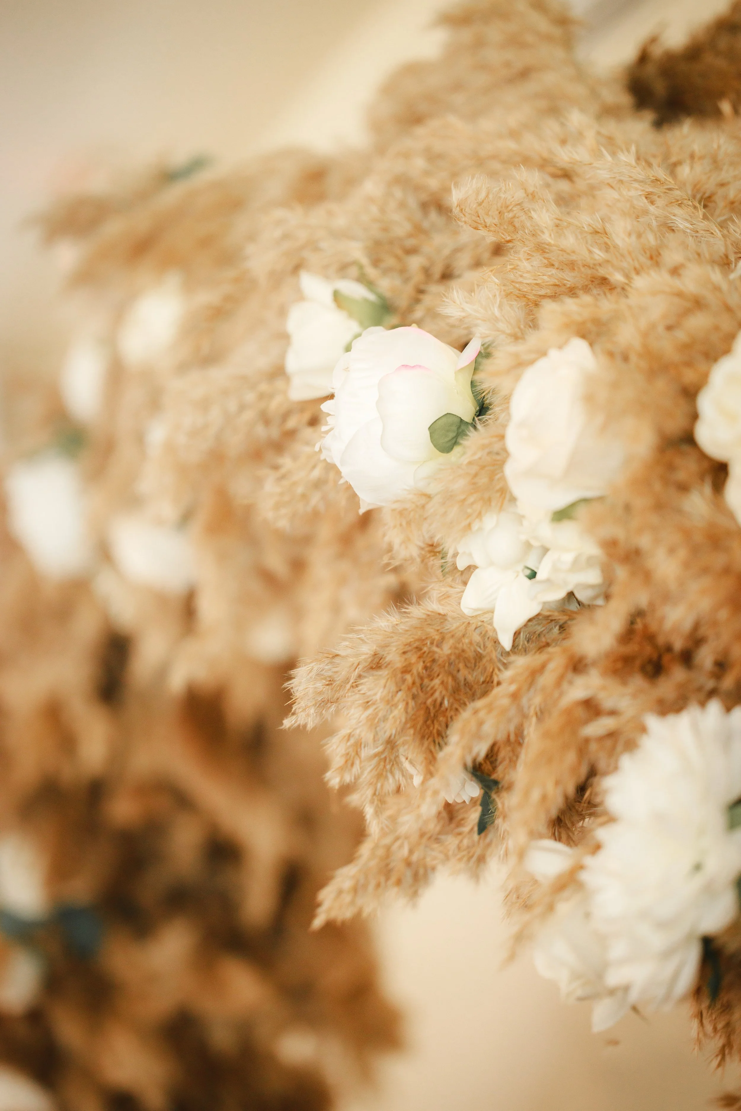 ely_wedding_fdkxee[1].jpg