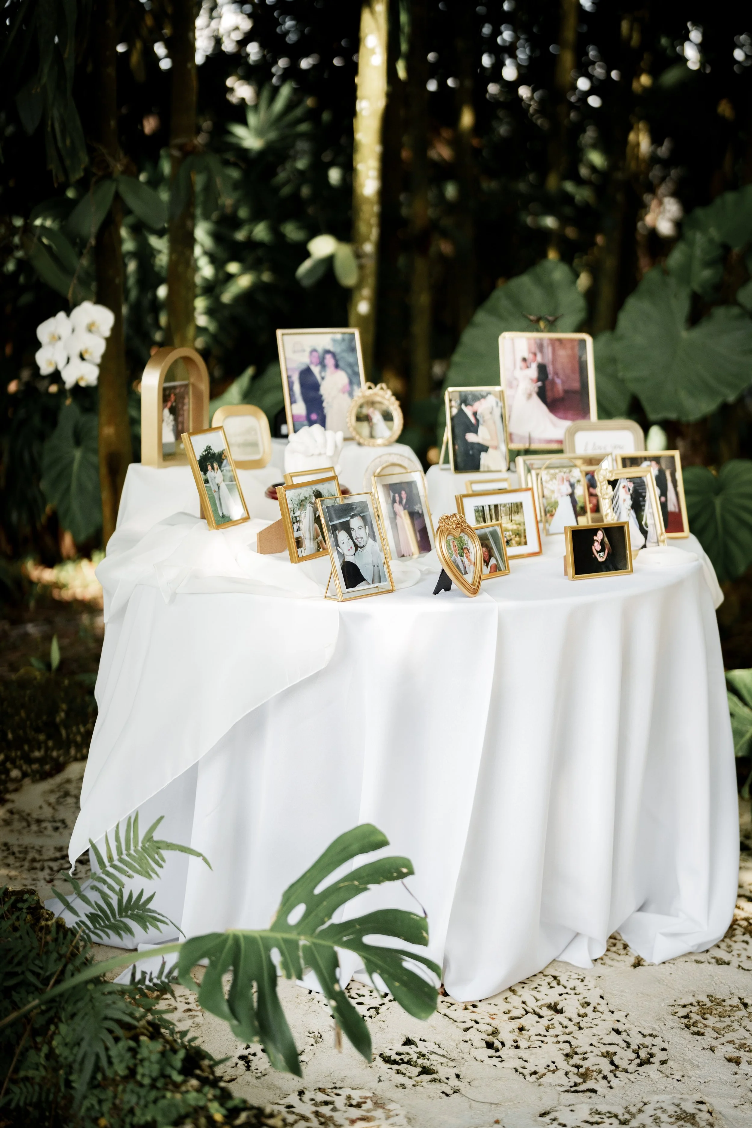 em_wedding_prwbbk[1].jpg