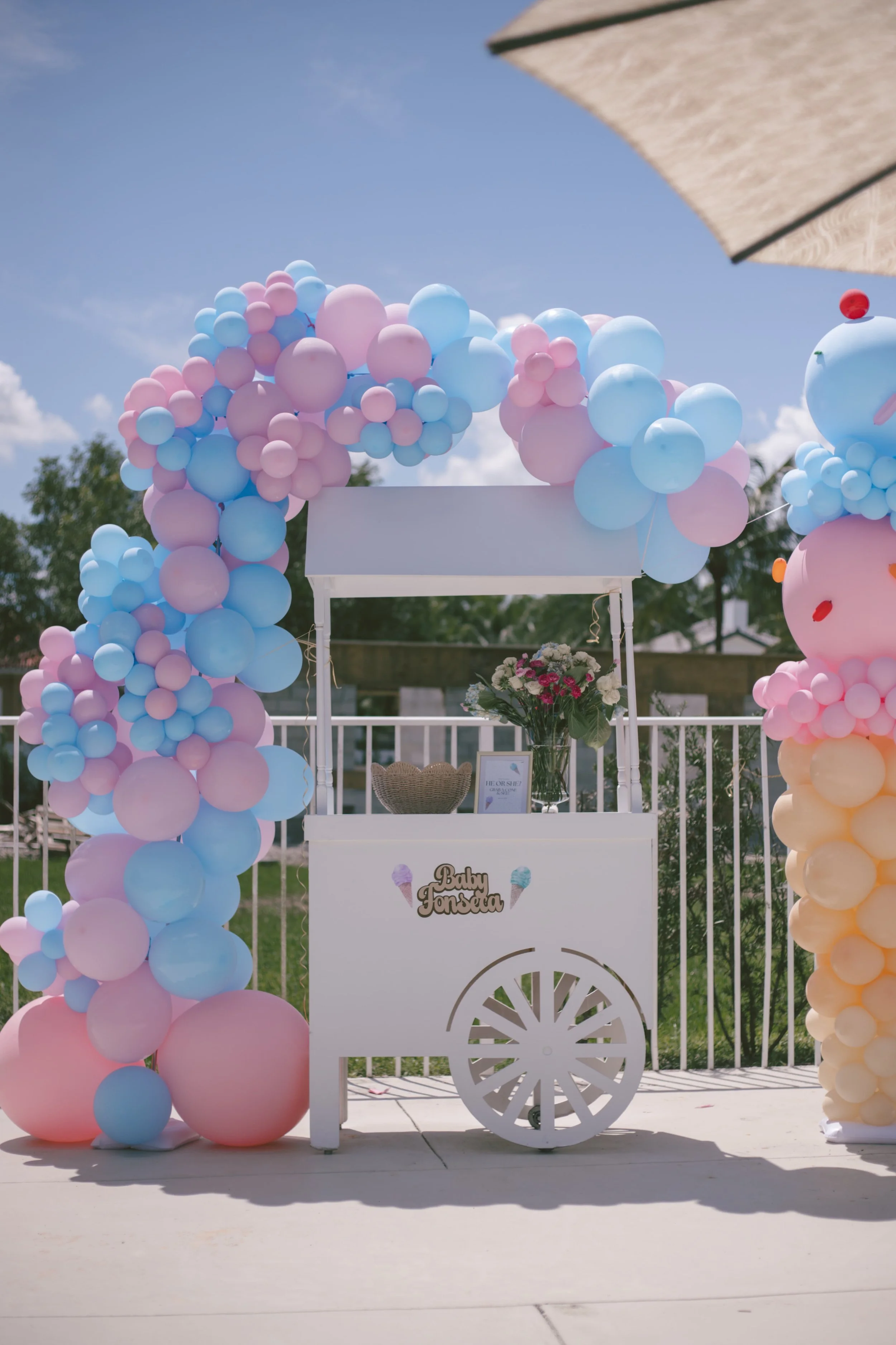 gender_reveal_updated_1_jdxupv[1].jpg