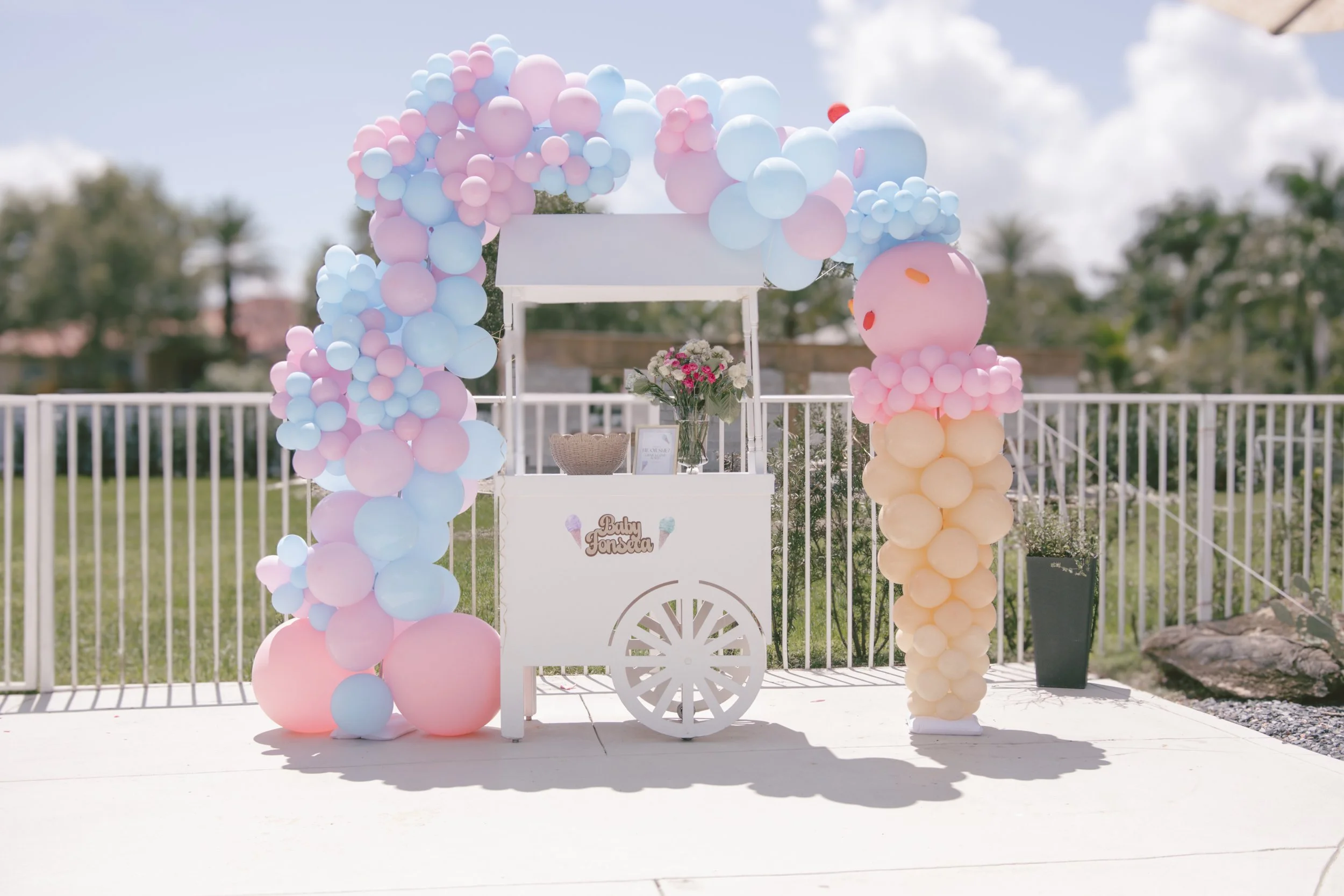 gender_reveal_plkkzo[1].jpg