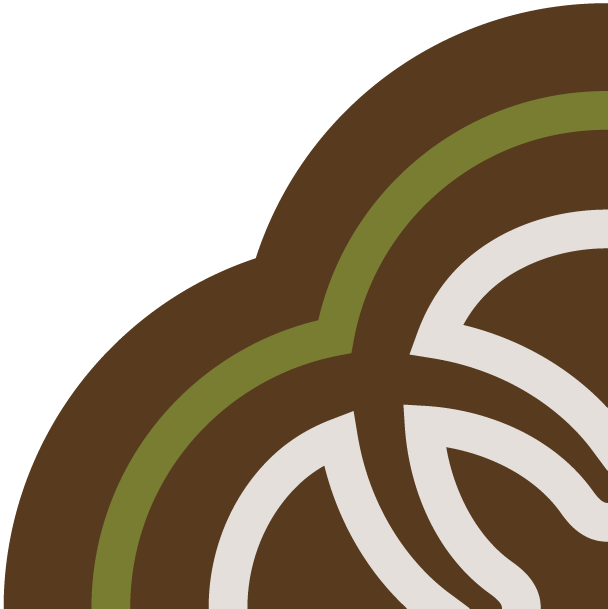 Close-up of a stylized artwork with intersecting brown, green, and white lines forming curved shapes.