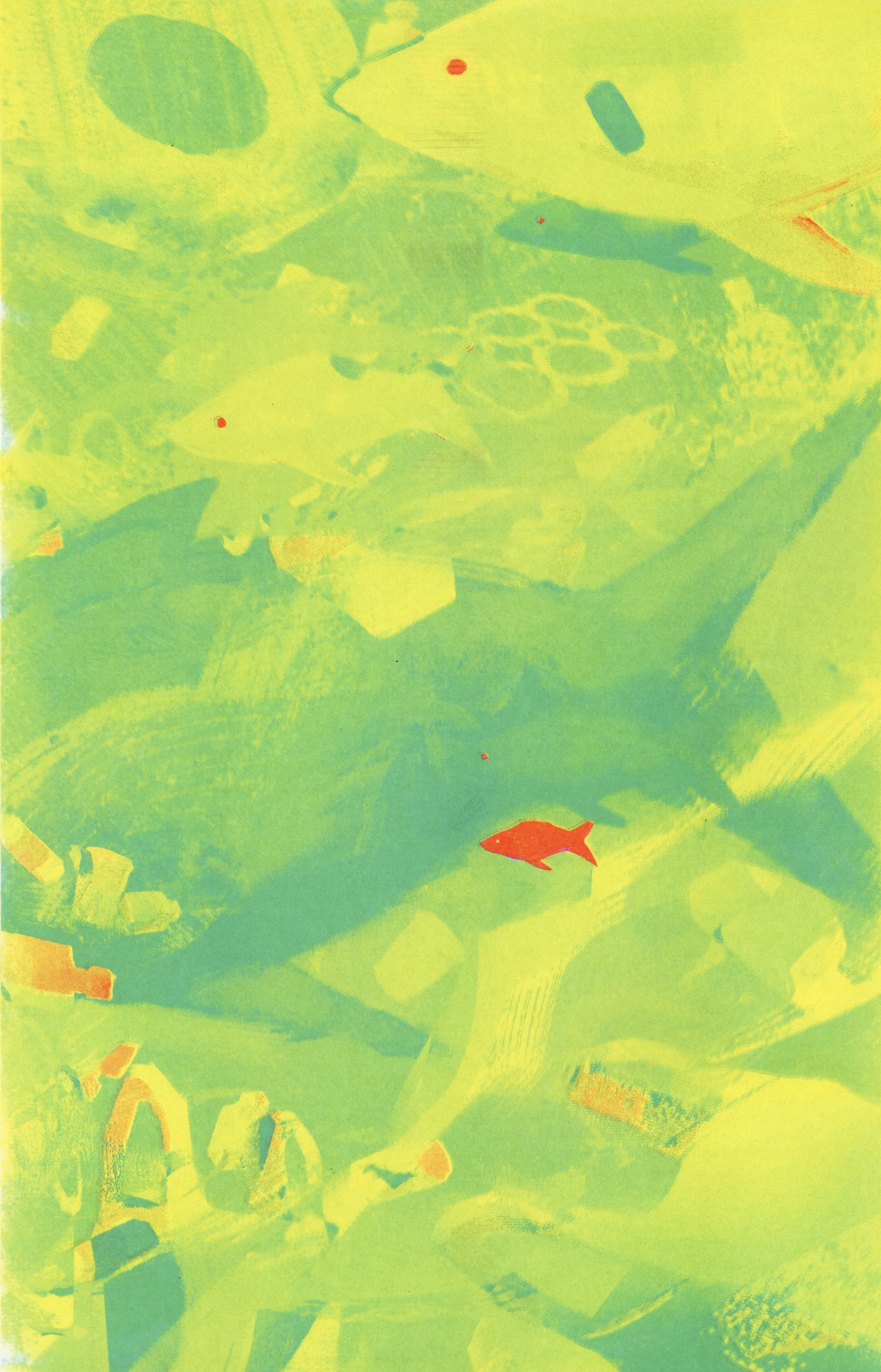Riso Version