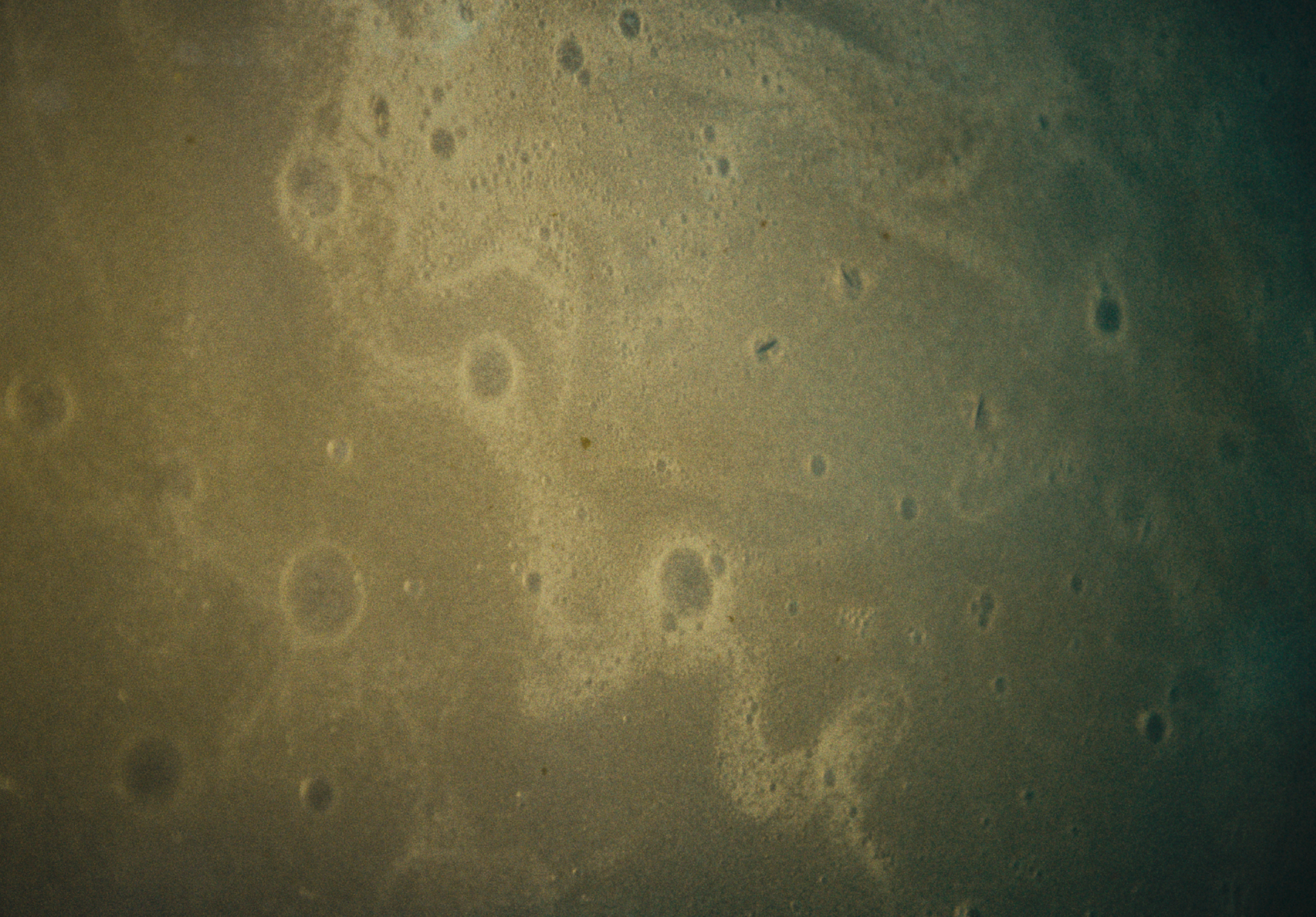 AESOP_DC_30_SEC_03.00_00_19_23.Still024.png