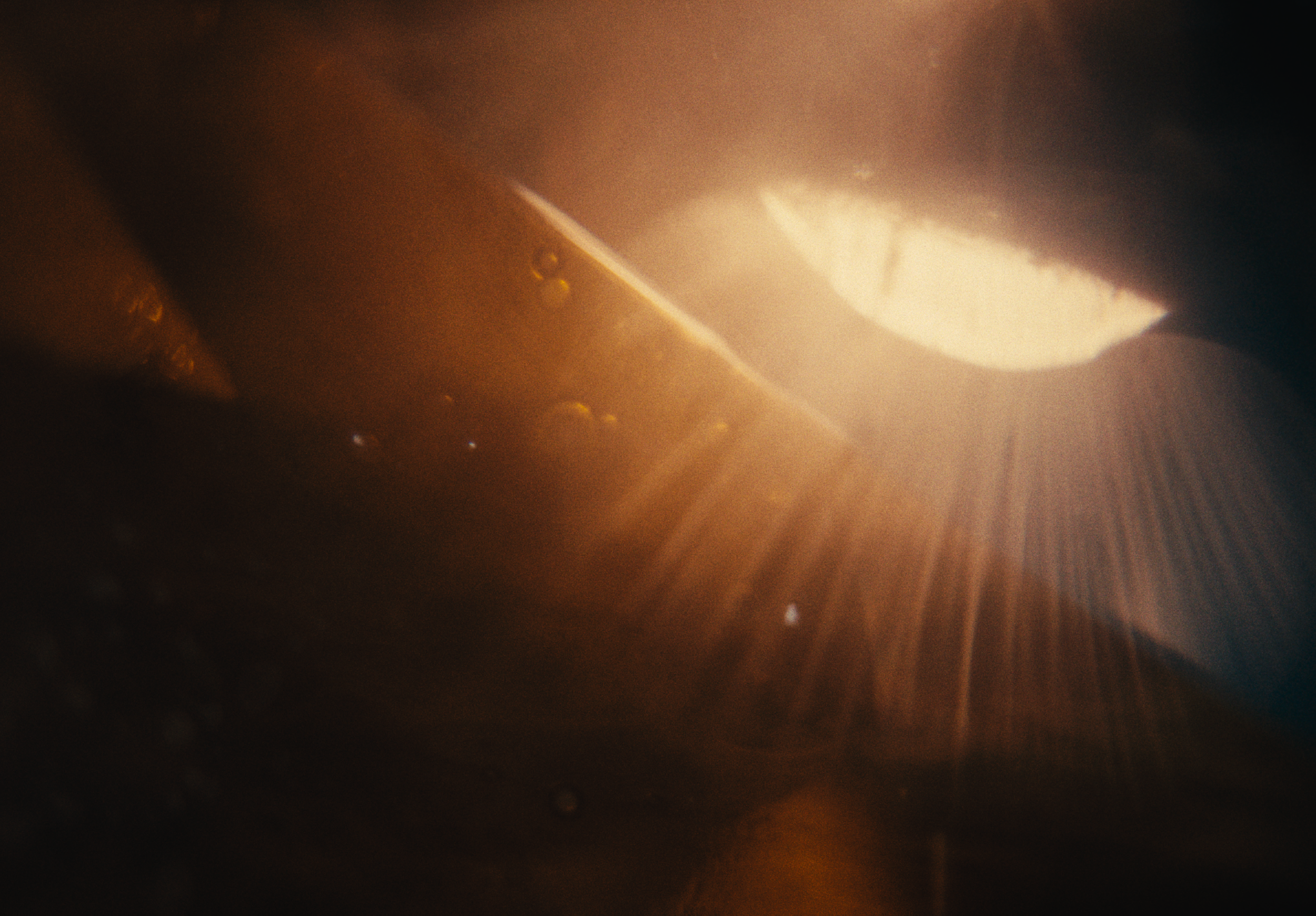 AESOP_DC_30_SEC_03.00_00_06_22.Still010.png