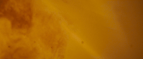 AESOP | OTHER MATTER 02<br>BRANDED