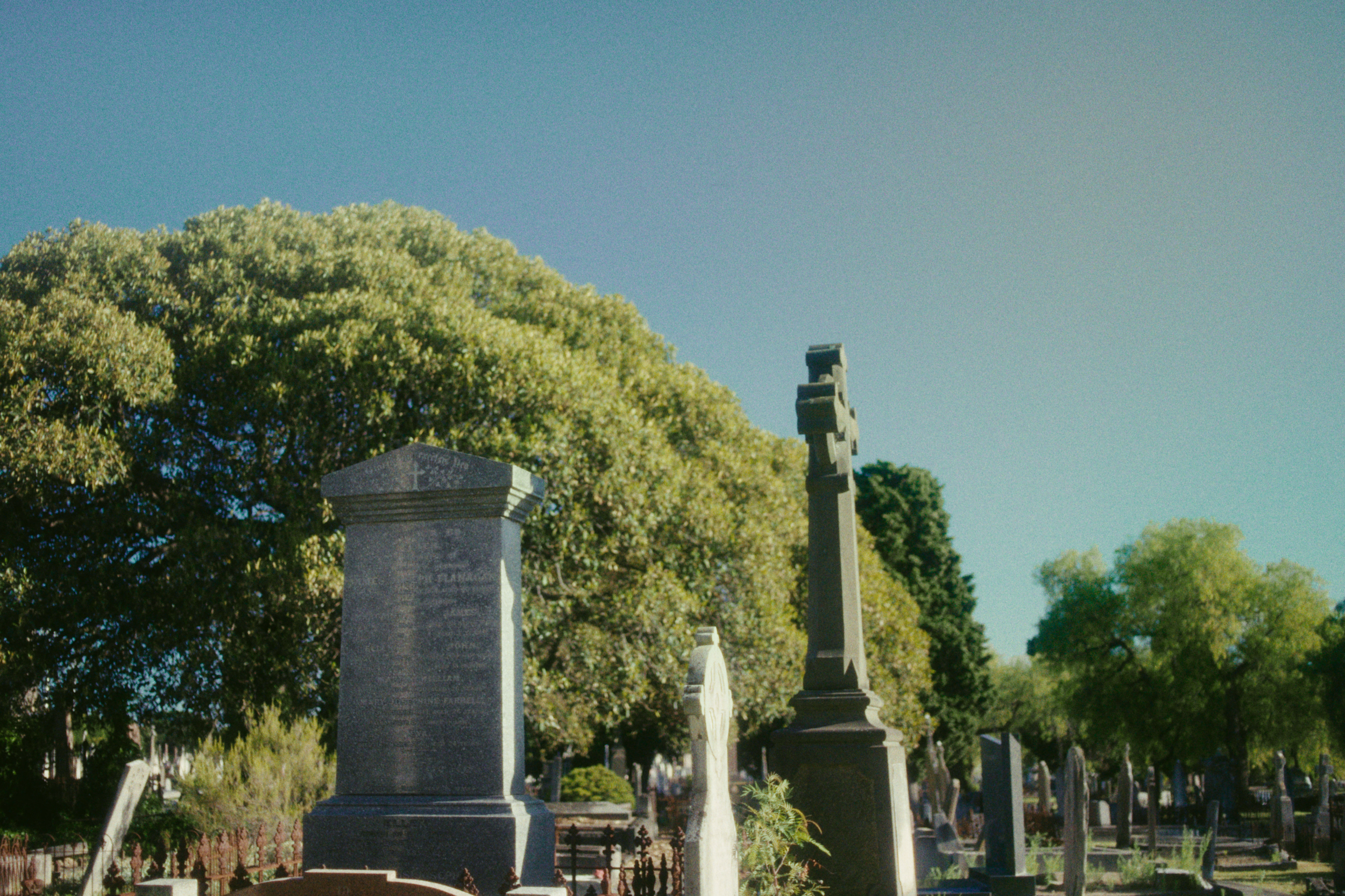 DENIS_DC.00_00_19_01.Still044.png