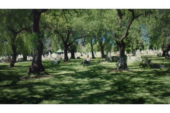 MELBOURNE CEMETERY | DENIS'S STORY<br>BRANDED