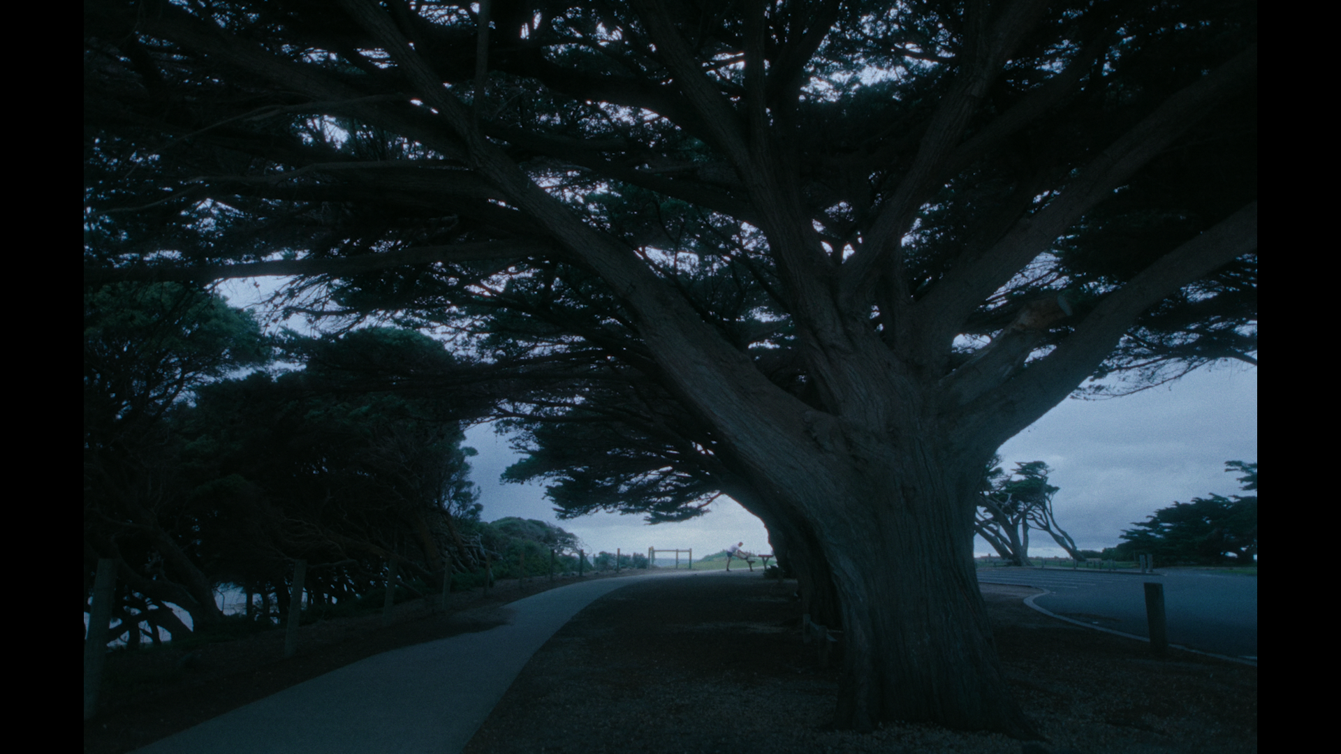 FOR GRADE_SEAN_EDIT_V13 (Resolve).00_00_23_21.Still015.png