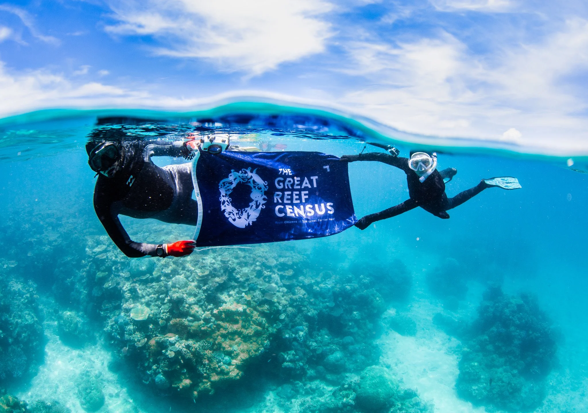 Citizens of the Reef