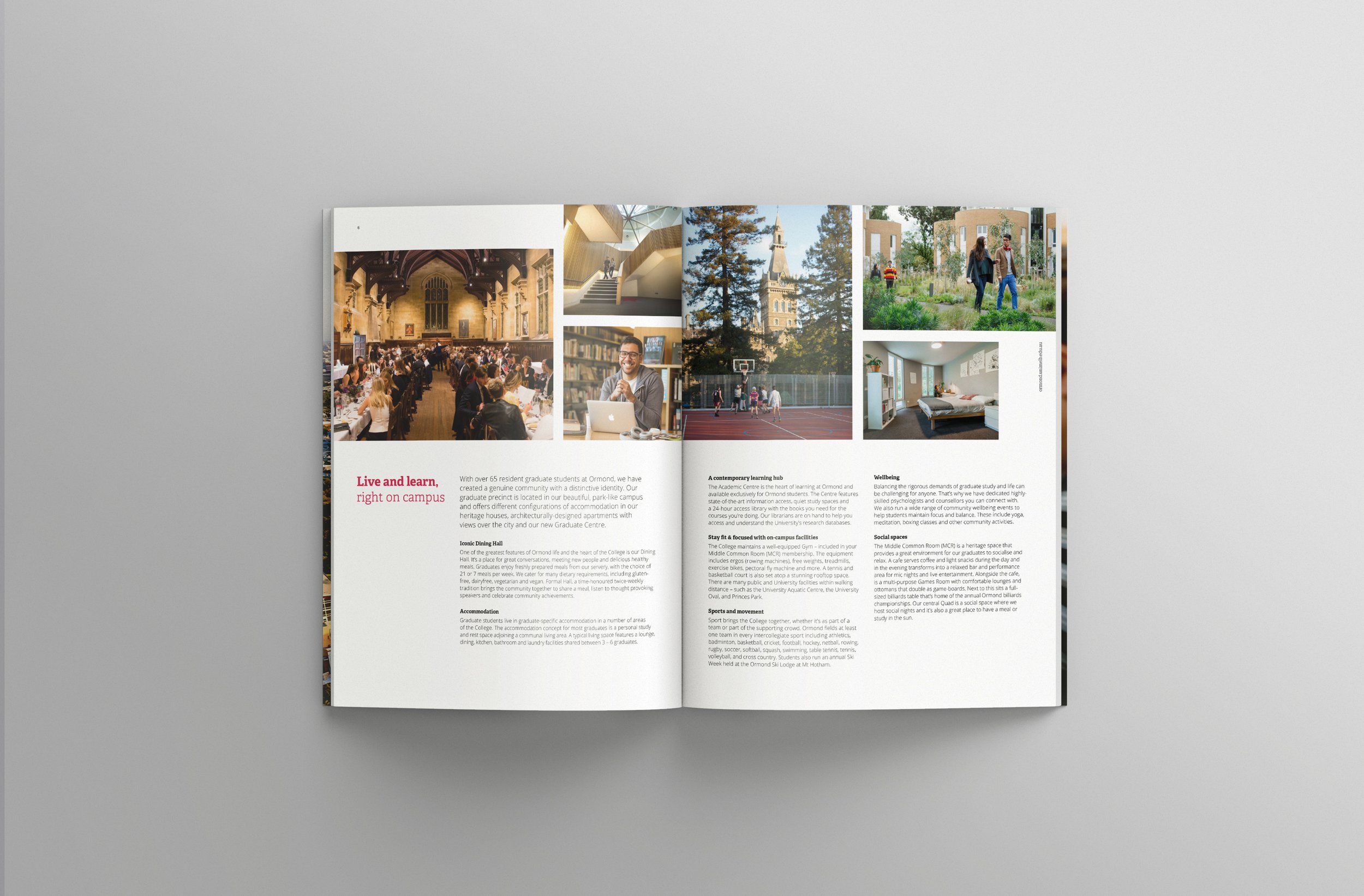 Ormond College brochure graphic design