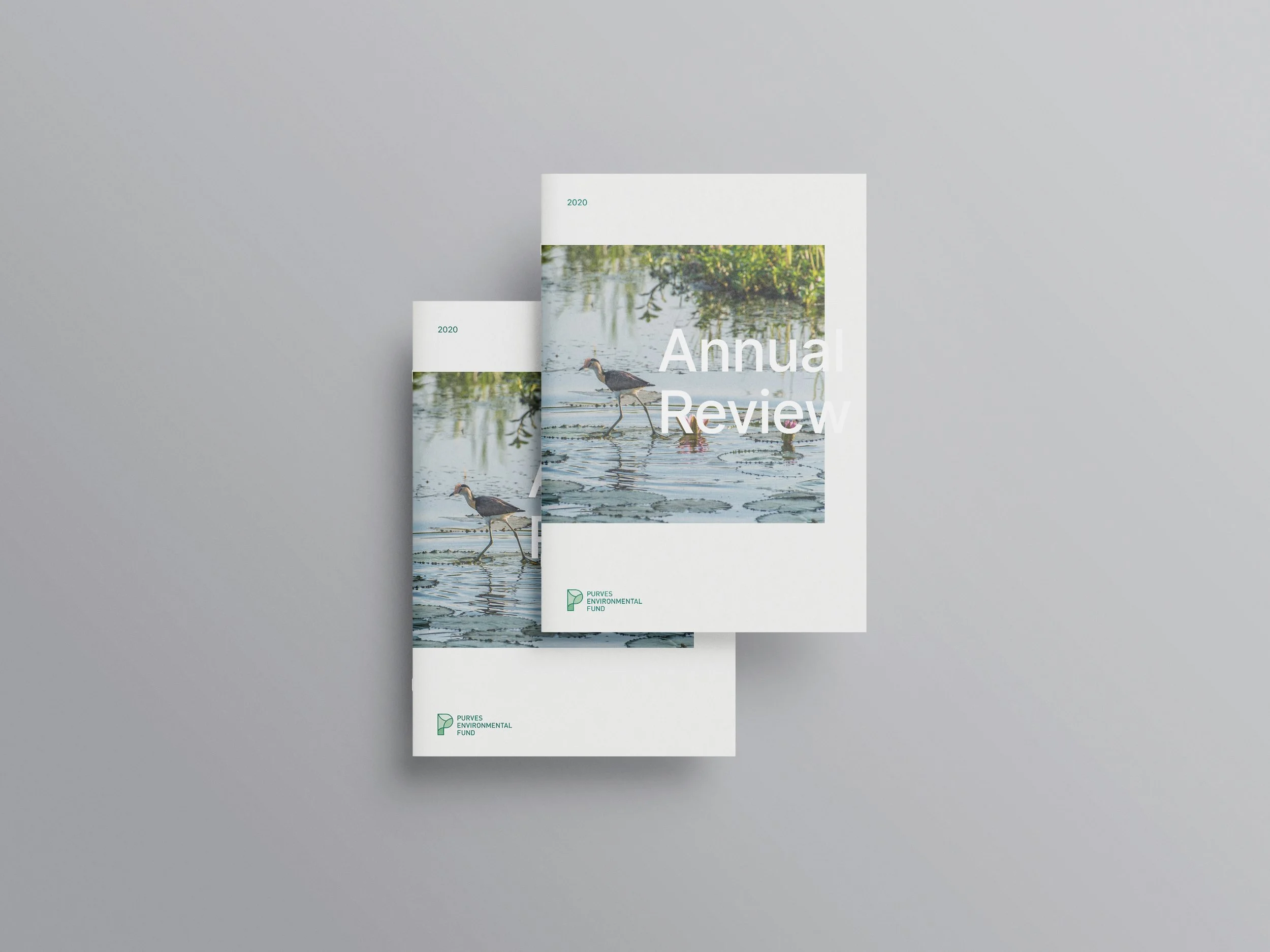 Annual Review