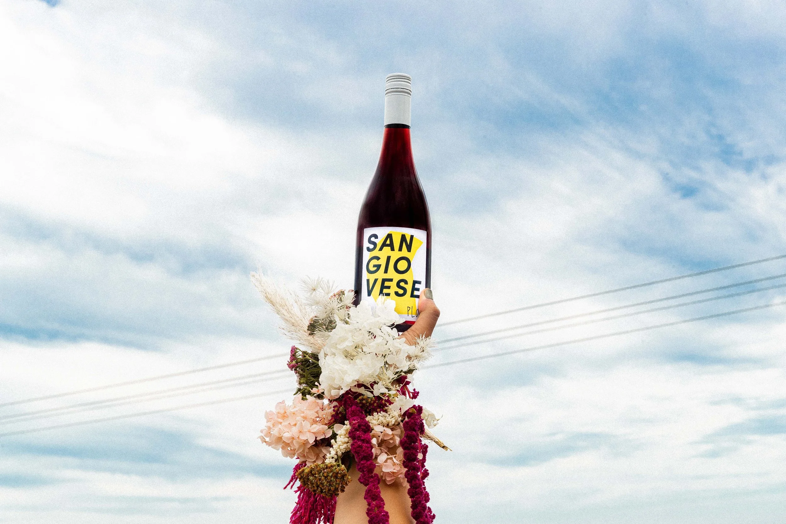 Plot Wine Sangiovese label design
