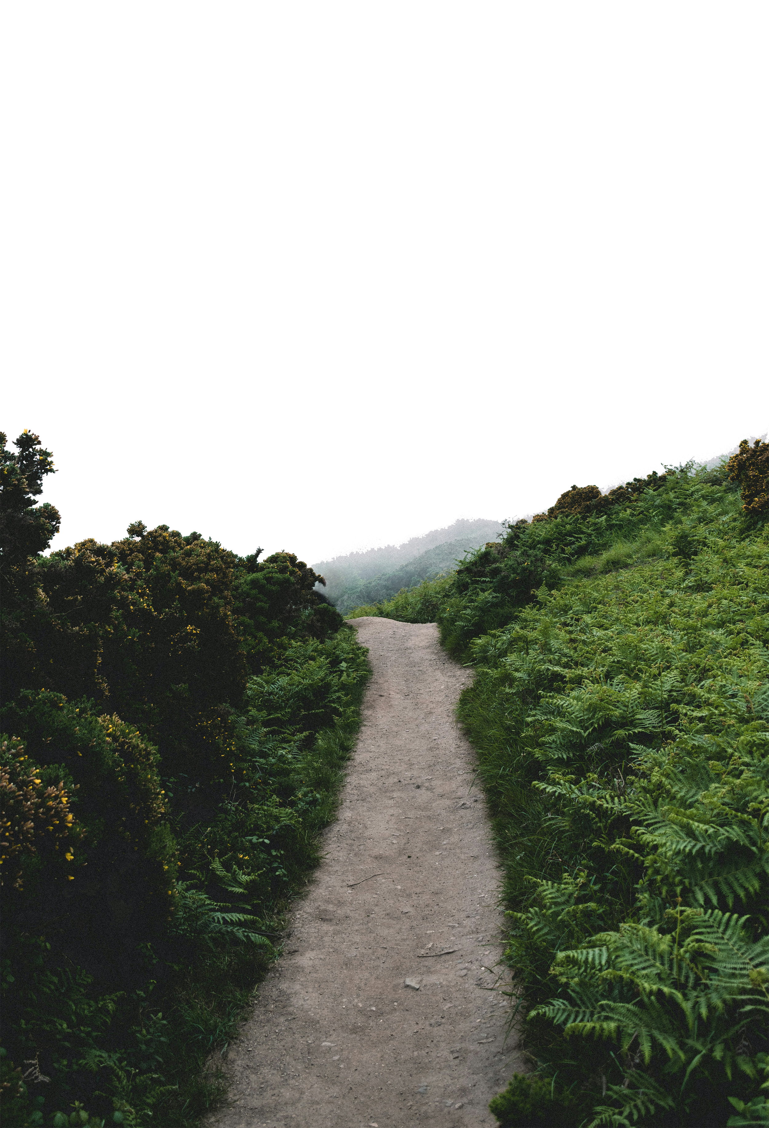 Dirt Path