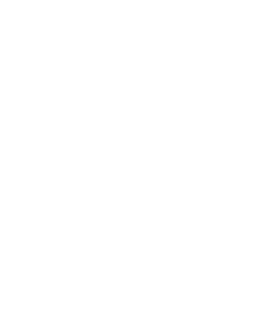 Holly Coleman Wellness Logo
