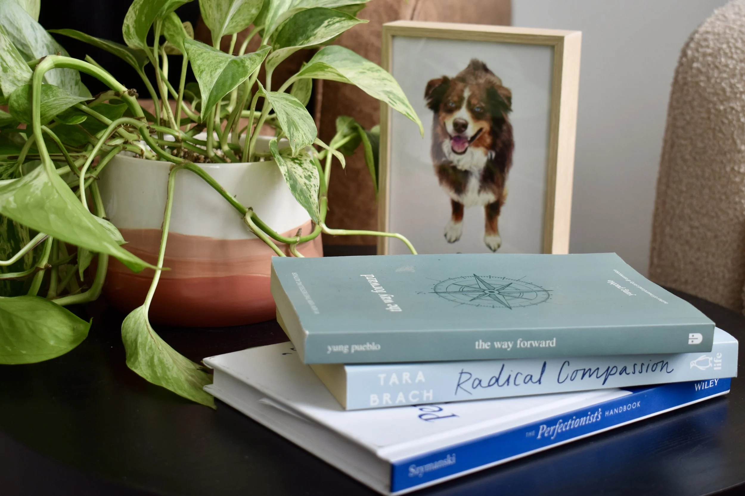 A set of three books stacked on a dark surface, a potted variegated plant to the left, and a framed photo of a smiling Australian Shepherd dog in the background. The books include titles on radical compassion, perfectionism, and self-help.