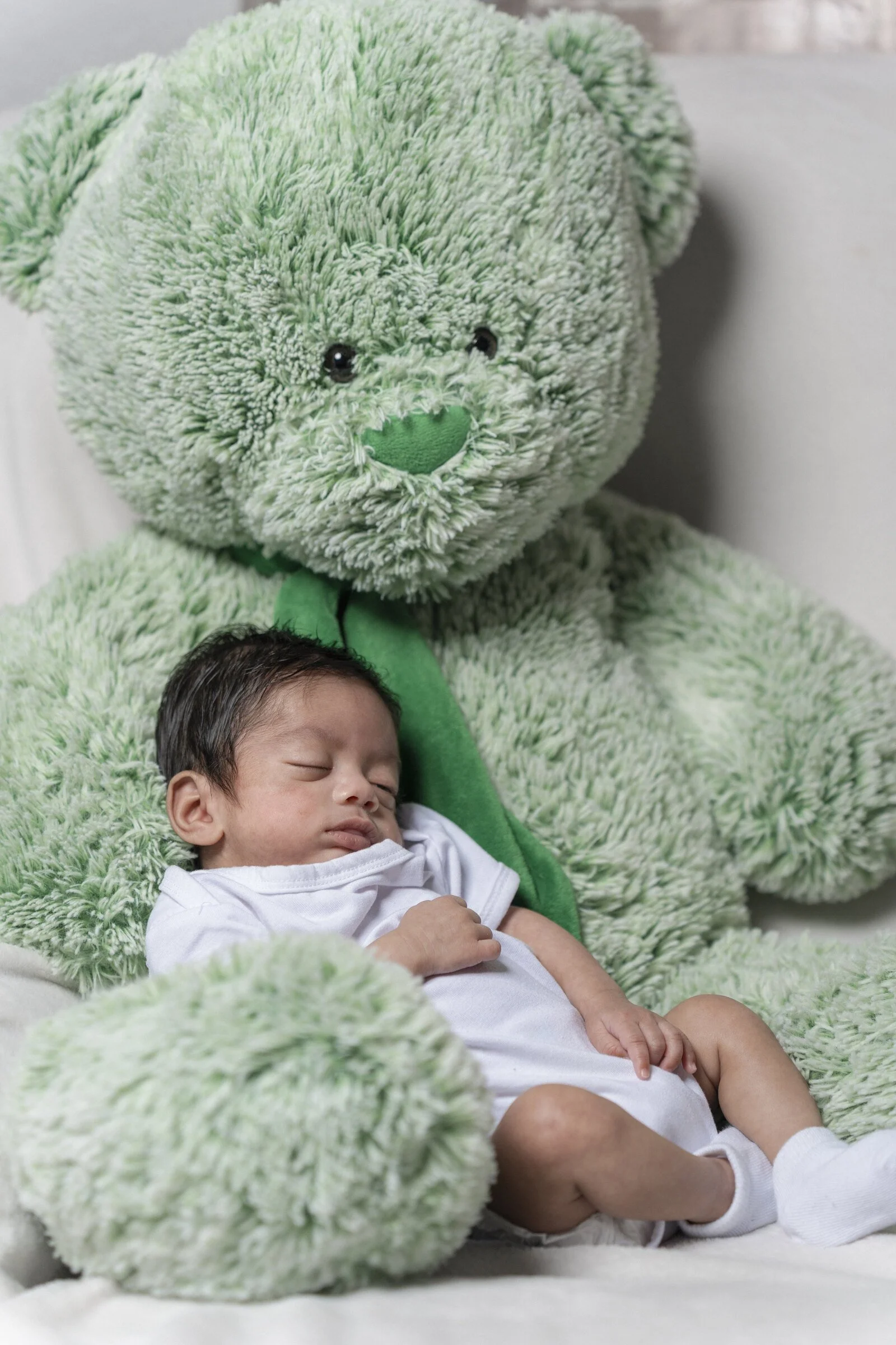 portrait-baby-bear.jpg