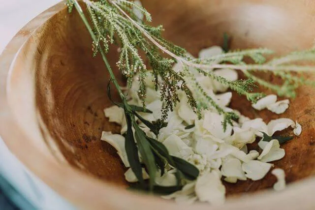 Fresh greenery gathered in a hand-carved wooden bowl, evoking care, tending, and the preservation of what matters.