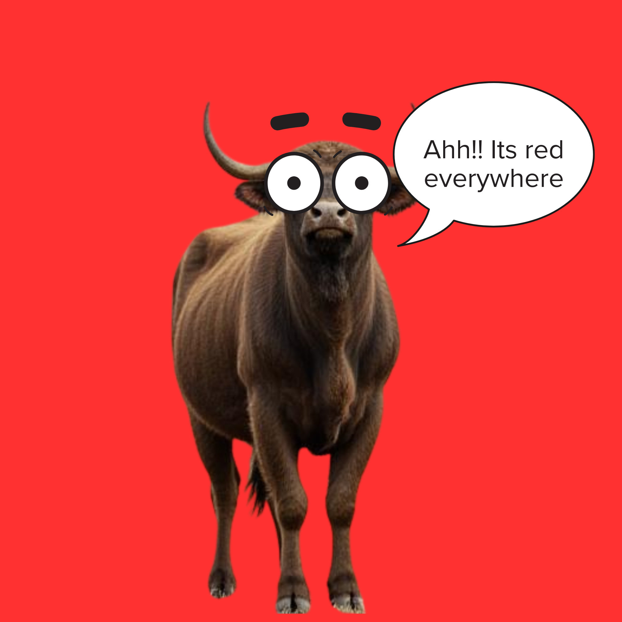 Bulls hate the color red