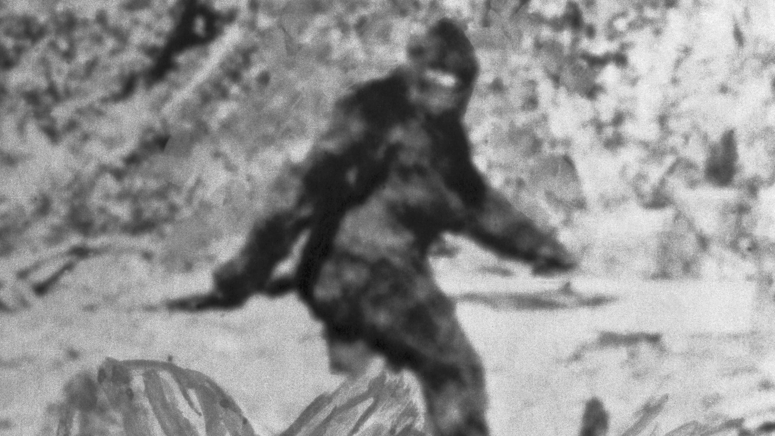 Is Bigfoot real? 