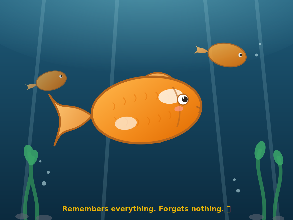 Do Gold fishes have a three second memory?  