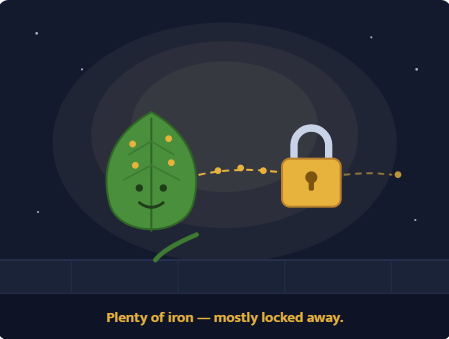 Is spinach packed with iron?