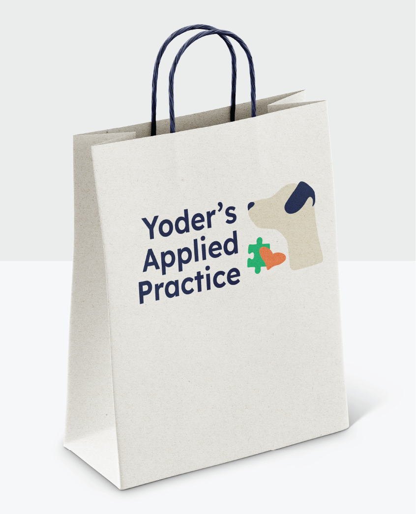 YAP_Mockup-04.png
