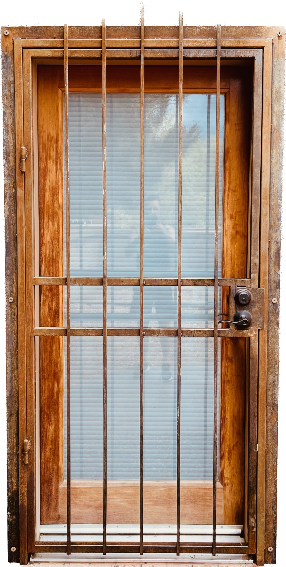 IMG_7368.PNG