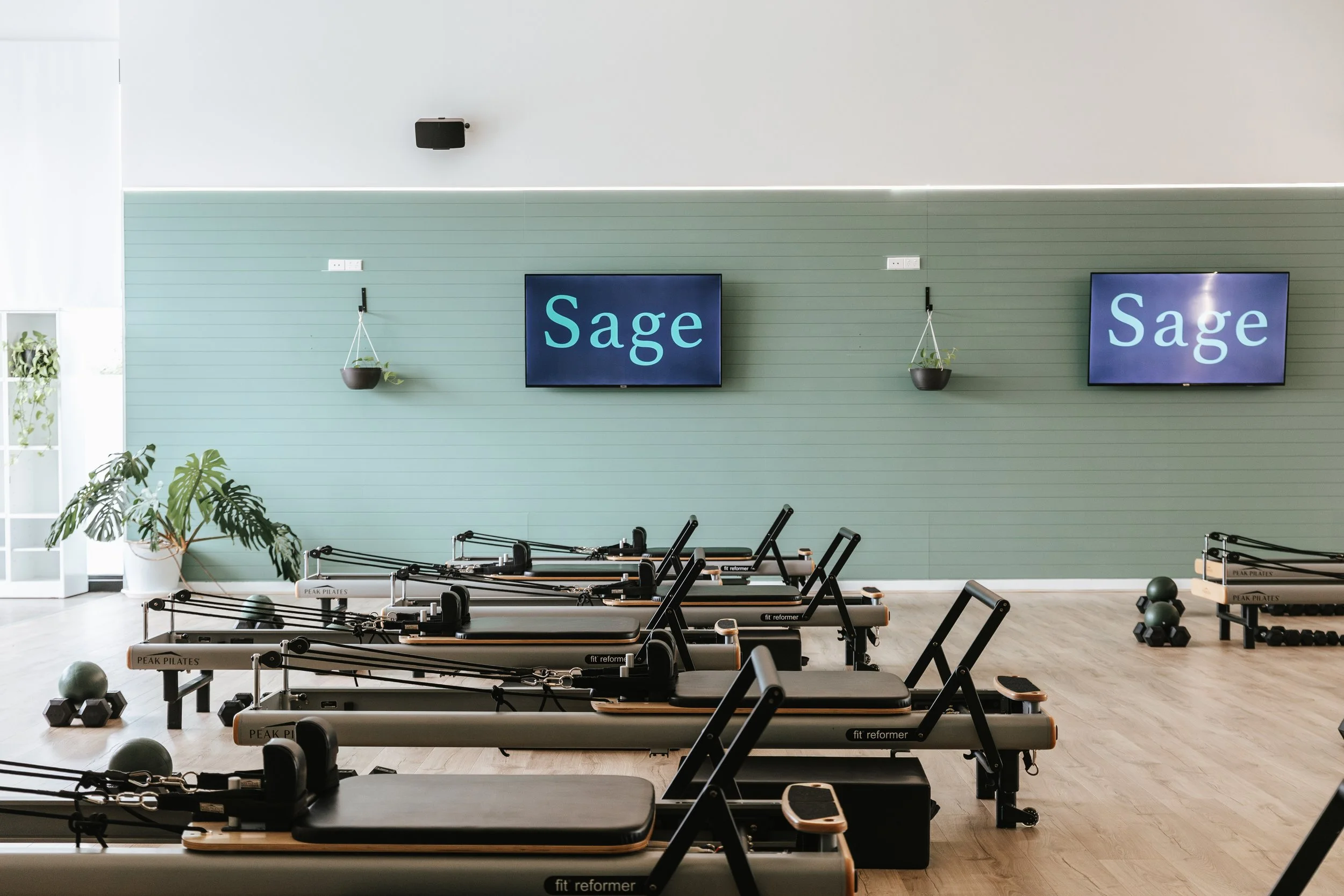 Sage Pilates Brunswick West © | A fitness studio with several reformer Pilates machines arranged in rows. The wall is light green with two hanging potted plants and two TV screens displaying the word 'Sage'. 