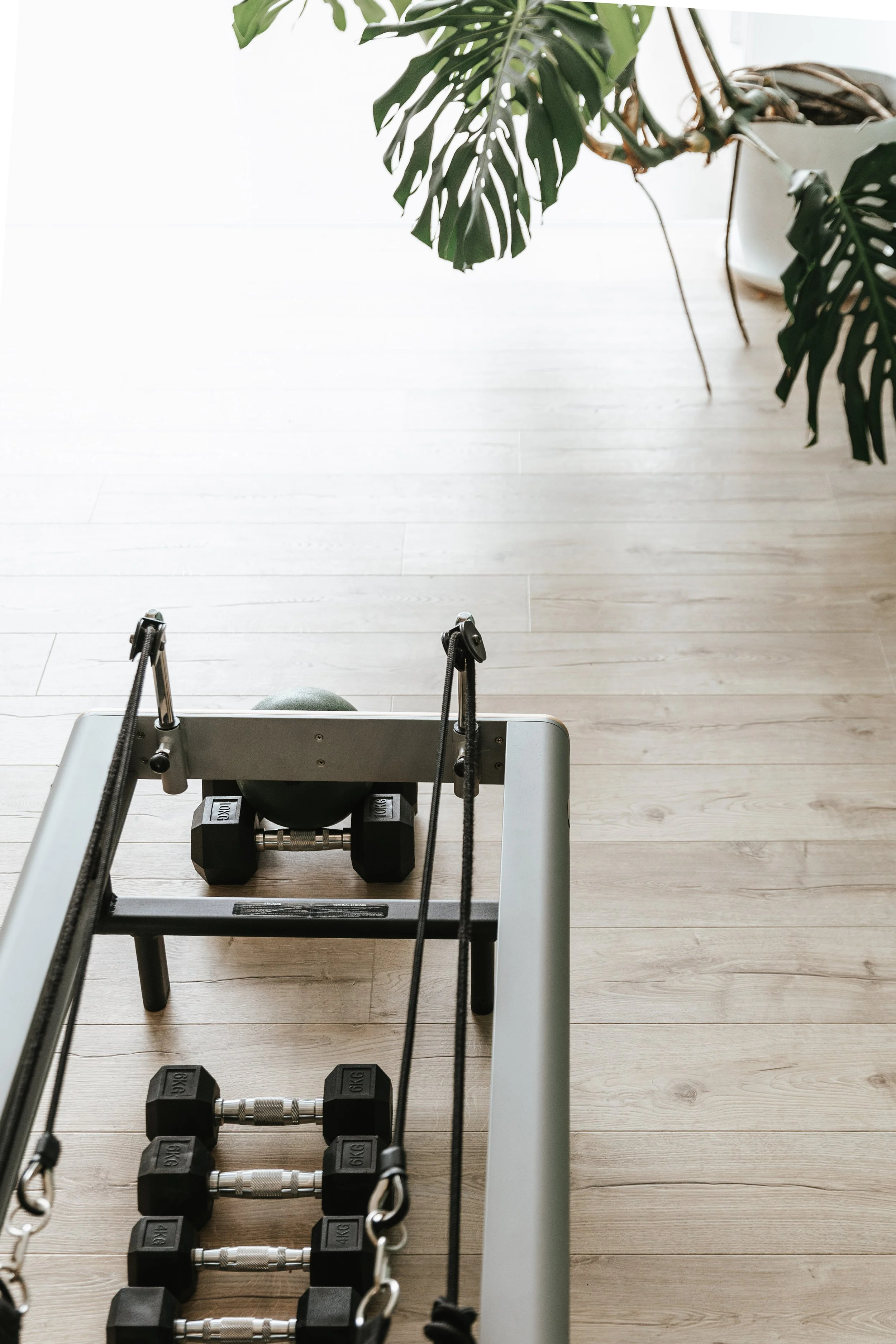 Sage Pilates Brunswick West © | A reformer pilates bed with adjustable straps and a dumbbell on a light wood floor near a potted Monstera plant with large green leaves.