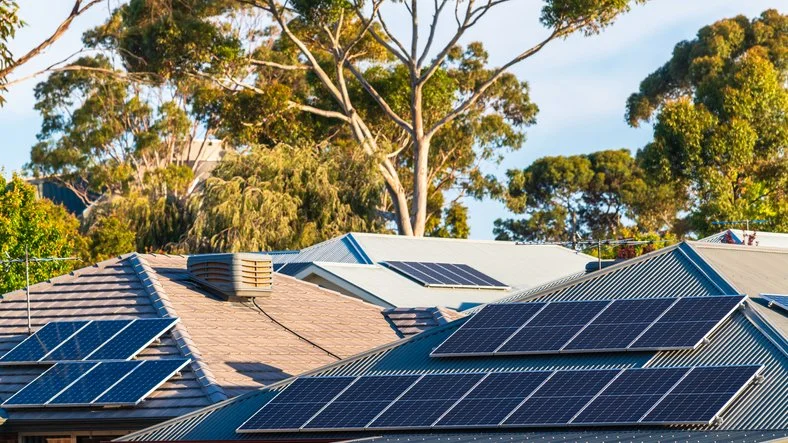 Multiple solar panels installed on the roofs of houses in a suburban neighborhood, with trees and blue sky in the background.