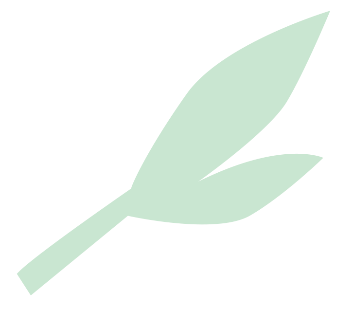 A minimalist illustration of a single light green leaf with a stem and three distinct leaflets.