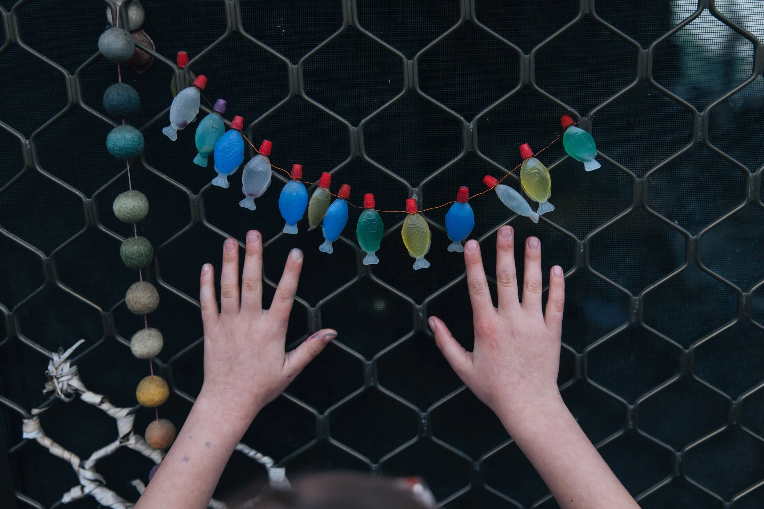 Hands of a child reaching toward a string of fluid filled fish-shaped plastic container (formerly sushi soy sauce single use plastics)