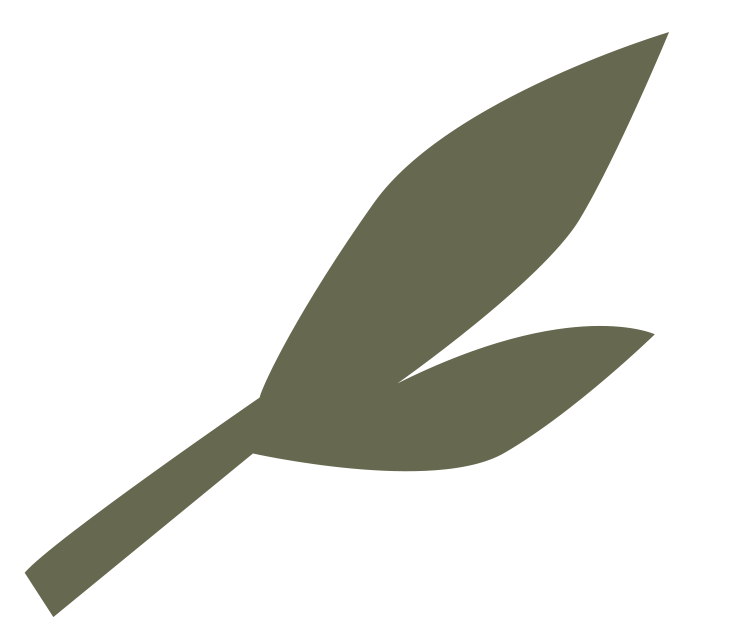Silhouette of a simple plant with one stem and two elongated leaves.