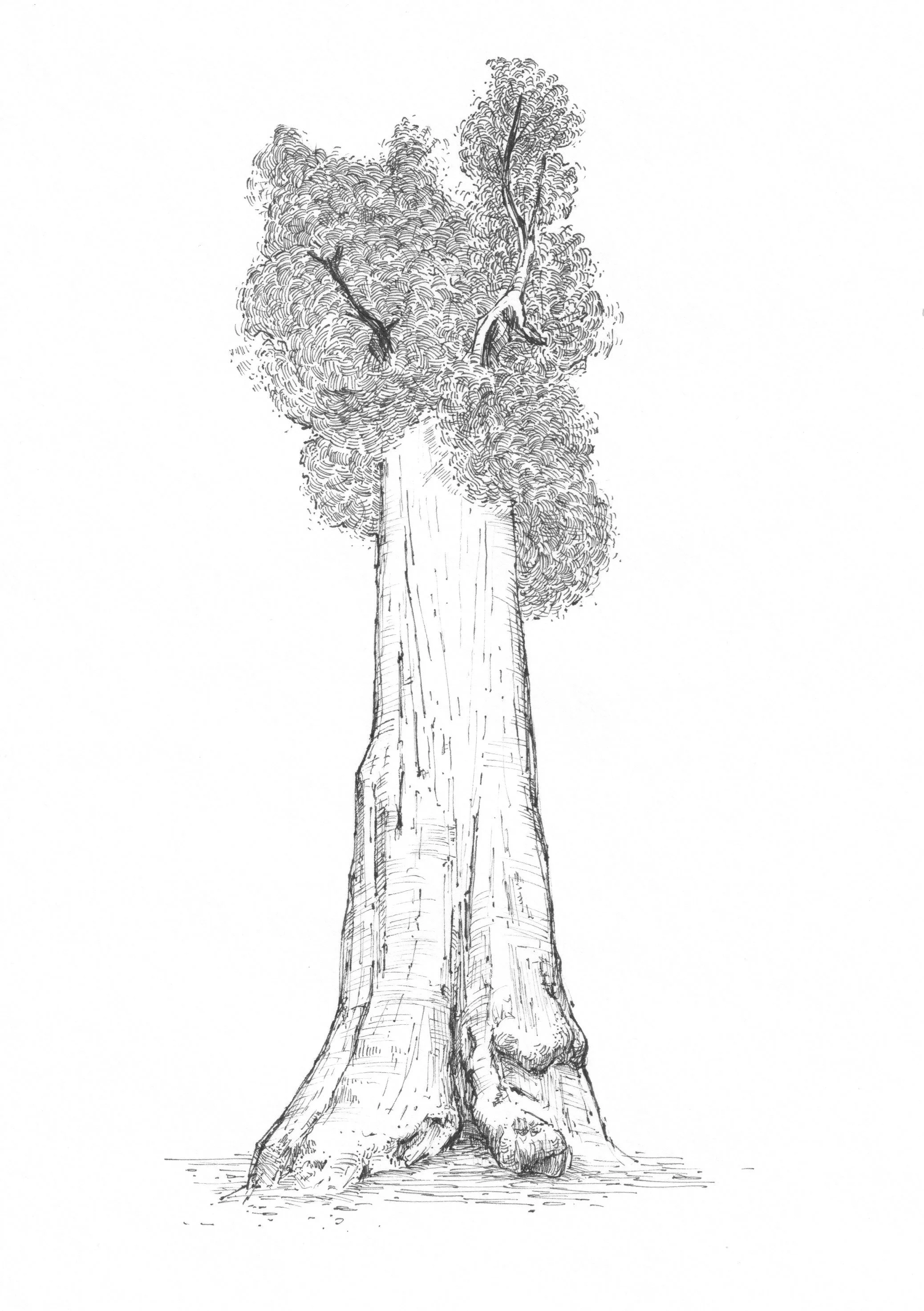 image4.jpeg