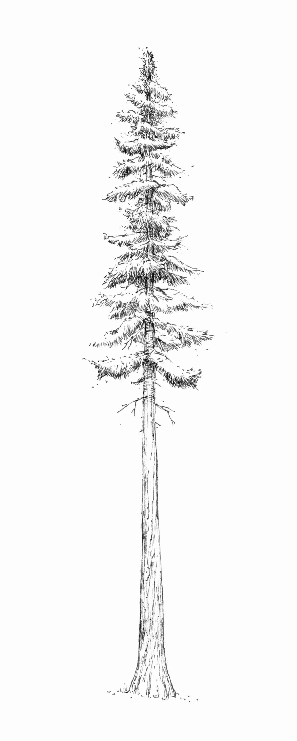image5.jpeg