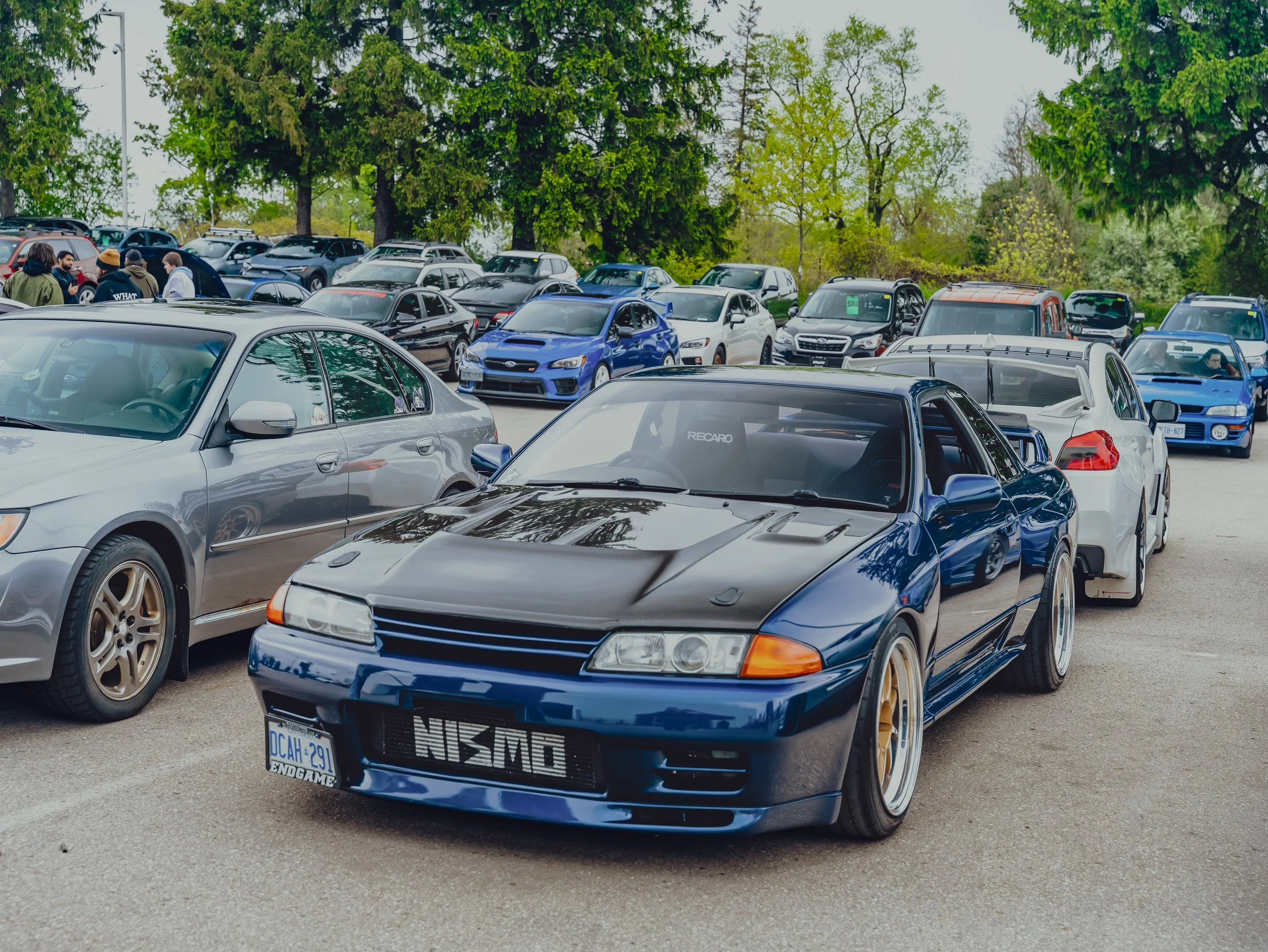 A7405430.jpg